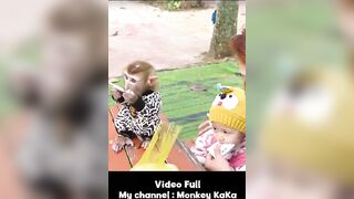 Monkey Hair Red and Baby Diem relax and play at the beach with their Mom part 3 #short