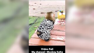 Monkey Hair Red and Baby Diem relax and play at the beach with their Mom part 3 #short