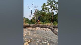 Handstand #viral #ytshorts #shorts #trending #yoga #yoga