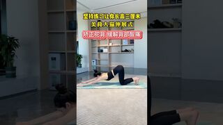 Big cat stretching exercise at home Miss sister who loves yoga Posture correction Yoga