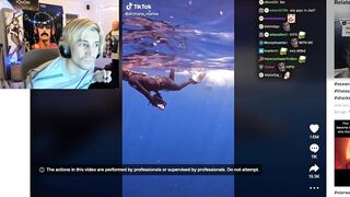 xQc was mesmerized by this tiktok...