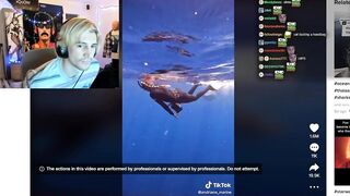 xQc was mesmerized by this tiktok...