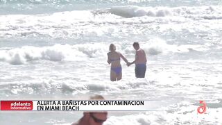 Reportan alta concentración de materia fecal en la playa de Miami Beach