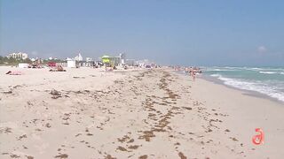 Reportan alta concentración de materia fecal en la playa de Miami Beach