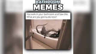 Bathroom Memes Are Funny