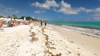 Playa Del Carmen Beach Walk Tour // Riviera Maya Mexico