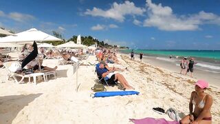 Playa Del Carmen Beach Walk Tour // Riviera Maya Mexico