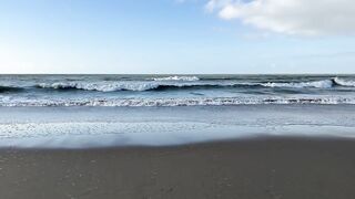 i took my best friend to the beach (and we met goats)