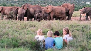 Go wild in Kenya: Charge your adrenaline and wonder with 3 adventure travel companies