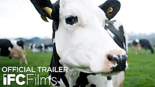 Cow - Official Trailer | HD | IFC Films