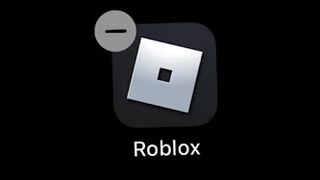 When You Want to Delete Roblox...