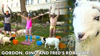 Gordon, Gino and Fred Try Goat Yoga | Gordon, Gino and Fred's Road Trip