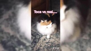 TOCA BOCA TIKTOK COMPILATION #23