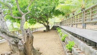 Bain Boeuf Public Beach walking Tour Mauritius