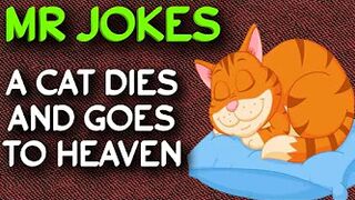 Funny Joke - A cat dies and goes to heaven