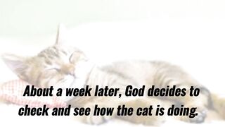 Funny Joke - A cat dies and goes to heaven