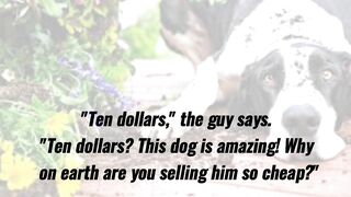 Funny Joke - The guy sees a sign that says, "Talking Dog For Sale"