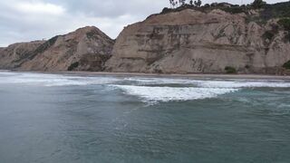 Beach to bluffs black's beach