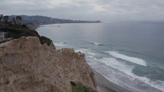 Beach to bluffs black's beach