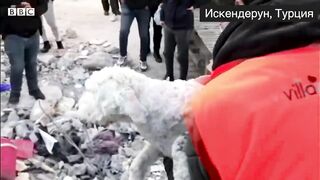 Выжившие под завалами: как в Турции и Сирии достают из-под обломков после землетрясения детей