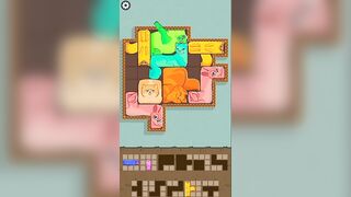 puzzle cats #shorts #youtubeshorts#gaming#shorts #games