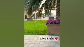 dubai life 2 ❤️#shorts #beauty #love #vlog #shortvideo #travel #travel #clips #viral #fun #nature