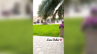 dubai life 2 ❤️#shorts #beauty #love #vlog #shortvideo #travel #travel #clips #viral #fun #nature