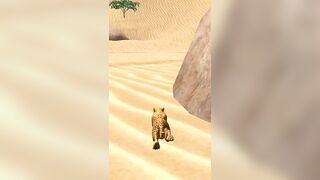 #gaming#games,,#3d★Real Royal Bengal Tigers 3D,Games.????the bear VS Royal Bengal Tiger.Please Support✅