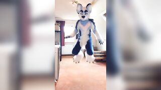 Furry TikTok compilation 002 #shorts #furrytiktok #furry #furrycompilation