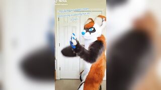 Furry TikTok compilation 002 #shorts #furrytiktok #furry #furrycompilation