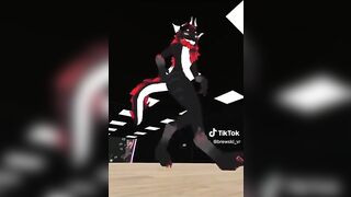 Furry TikTok compilation 002 #shorts #furrytiktok #furry #furrycompilation