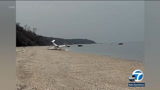 Small plane makes daring emergency landing on NY beach