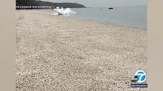 Small plane makes daring emergency landing on NY beach