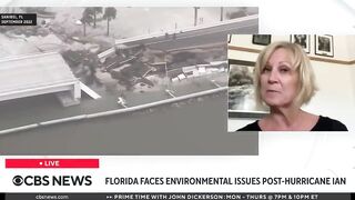 Red tide and massive seaweed blob threaten Florida beaches