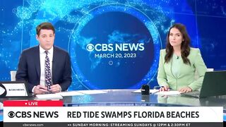 Red tide and massive seaweed blob threaten Florida beaches