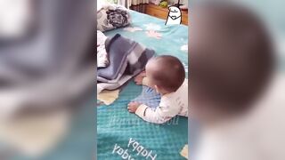 funny babies videos ❤ Try Not To Laugh #142 || JigooliVigooli #shorts #baby #funny