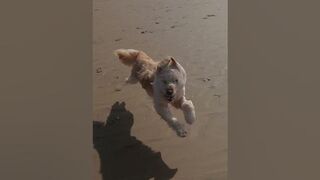 Cora on the Beach