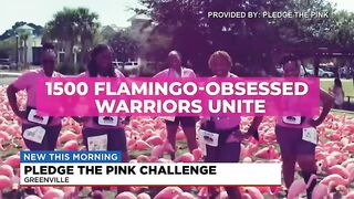 Pledge the Pink challenge