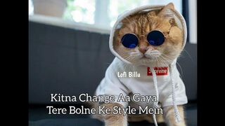 Care ni karda | Yo yo honey singh | cats compilation #catscompilations #yoyohoneysingh #shorts