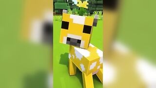 Minecraft Short Compilation #Short #Barancan09