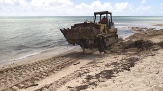 City crews clean up trash swept to Kahala Beach by heavy rains