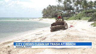 City crews clean up trash swept to Kahala Beach by heavy rains