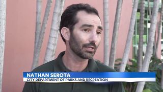 City crews clean up trash swept to Kahala Beach by heavy rains