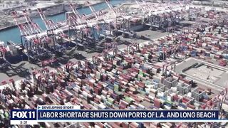 Ports of LA, Long Beach closes for 2nd day amid labor shortage