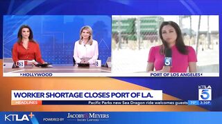 Worker shortage closes Los Angeles and Long Beach ports