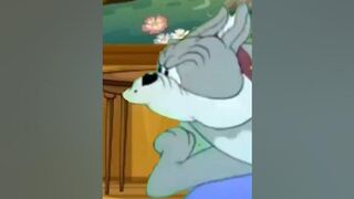 TOM AND JERRY compilation 7#tomandjerry #kinemaster #kartun #funny #vidioshort #funnyvideo