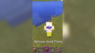 Minecraft twerk sus