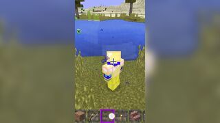 Minecraft twerk sus