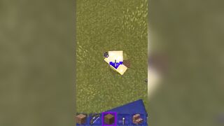 Minecraft twerk sus