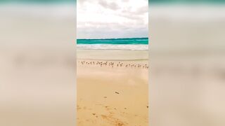 New Trending Beach Video Little Birds || #viral #shorts #trending #beach #birds #shots #short